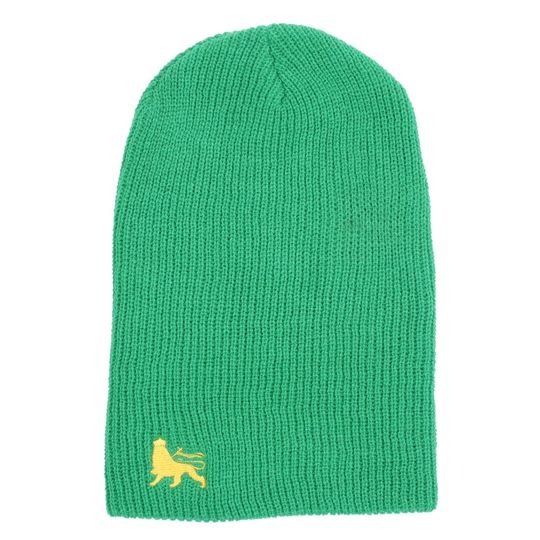 Zimná čapica beanie Lion | zelená II