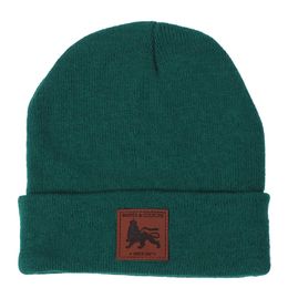 Zimná čiapka brand lion | zelená